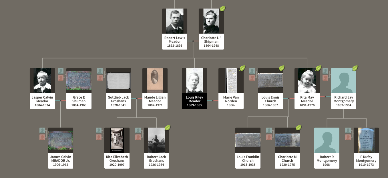 Meador research page