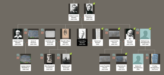 Meador research page