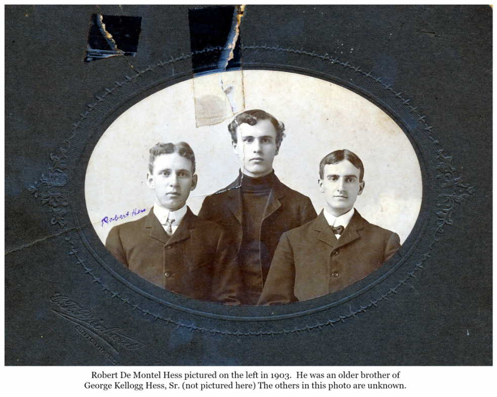 f9946953-5a7d-439d-b095-a41d3347b793